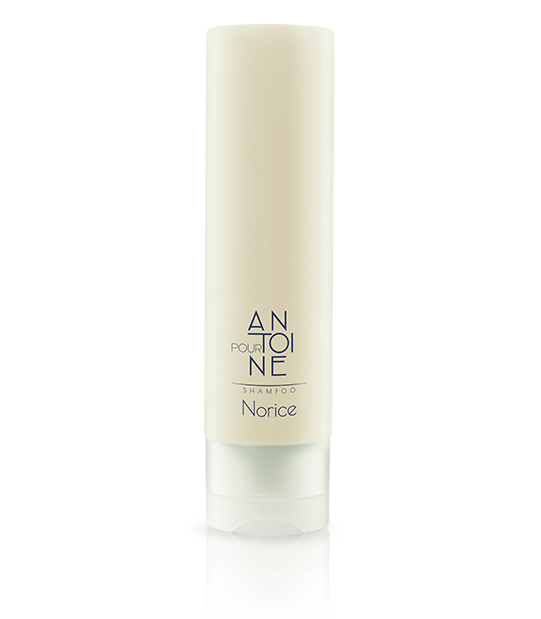 Norice Shampoo