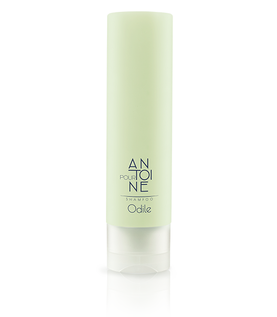 Odile Shampoo